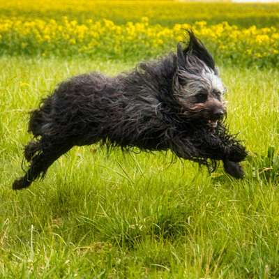 Fotochallenge 78

Es grünt und blüht-Beitrag-Bild