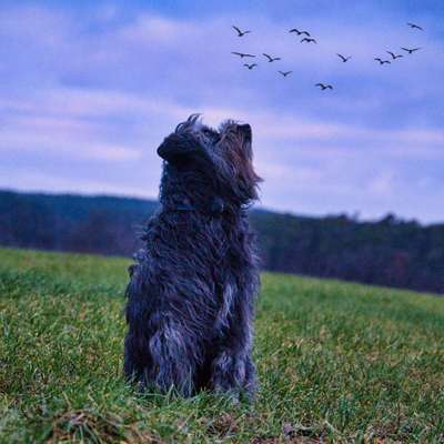 FOTOCHALLENGE 86-Beitrag-Bild