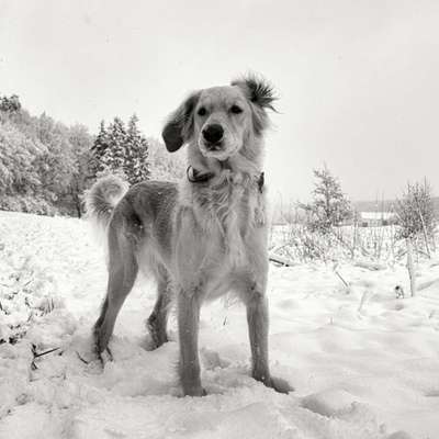Foto-Challenge 76: Foto in Schwarz-Weiss-Beitrag-Bild
