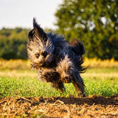 Fotochallenge Nr.105  Glücksmomente-Beitrag-Bild