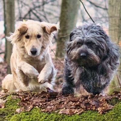FOTOCHALLENGE 68: Dein Hund und sein bester Freund-Beitrag-Bild