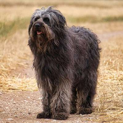 Doppelgänger gesucht !-Beitrag-Bild