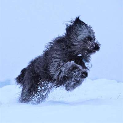 Fotochallenge 61 ~ Schnee-Beitrag-Bild