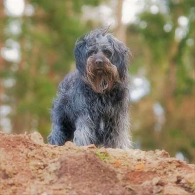 Fotochallenge Nr 107-Beitrag-Bild