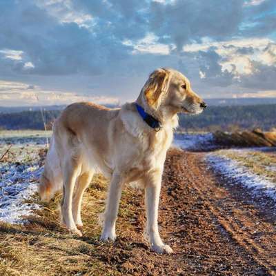 Dogorama Photo Challenge - Es wird nochmal kalt!-Beitrag-Bild