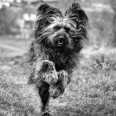 Foto-Challenge 76: Foto in Schwarz-Weiss-Beitrag-Bild