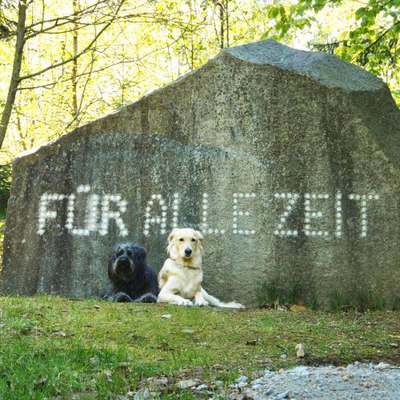 Fotochallenge Nr.100 Urlaubsimpressionen-Beitrag-Bild