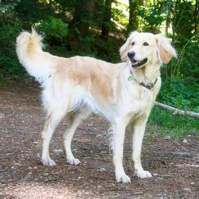 Doppelgänger gesucht !-Beitrag-Bild