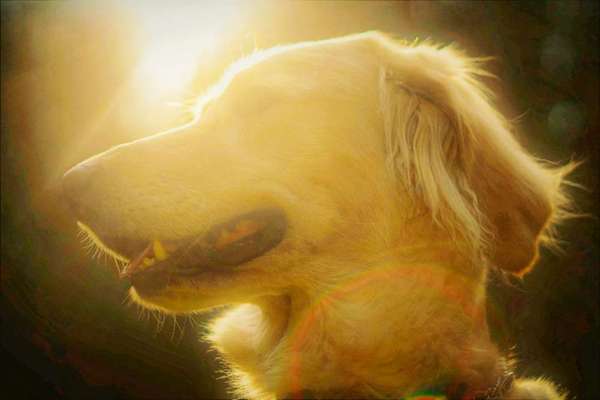 Fotochallange Nr. 46

Schattenspiele BEENDET!!!!!-Beitrag-Bild