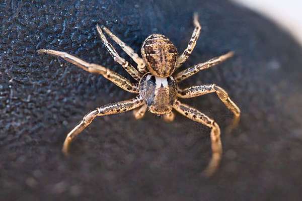 Die wunderschöne Welt mit Hund.-Beitrag-Bild