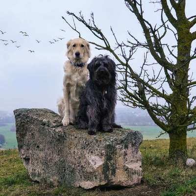 Dogorama Foto Challenge - Wanderziel-Beitrag-Bild