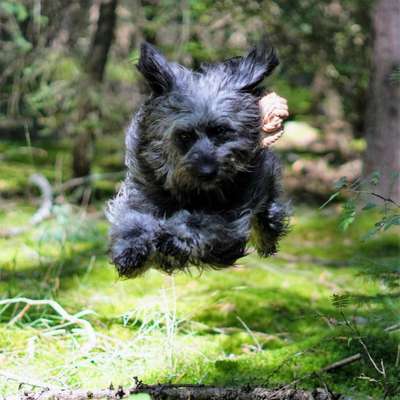 Fotochallenge Nr. 52 „Spring!“-Beitrag-Bild