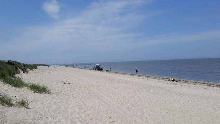 Hundeauslaufgebiet-Hundestrand Schillig-Bild