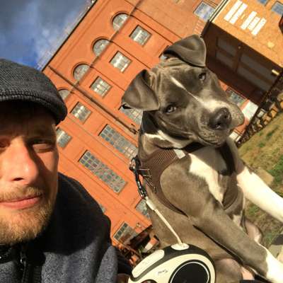 Hundetreffen-Gassirunde-Profilbild