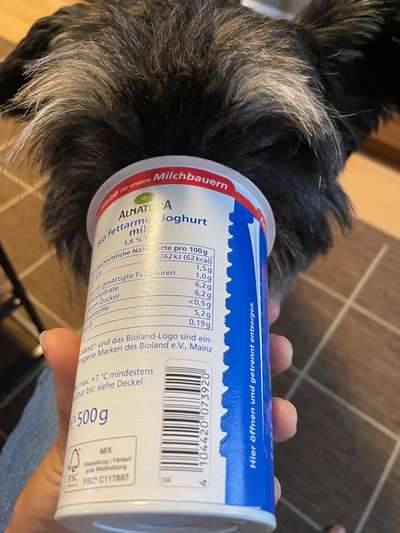 TierschutzhundeStammtisch🐕-Beitrag-Bild