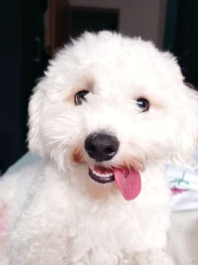 Handyfoto challenge Nr. 13: Waschlappen raus!-Beitrag-Bild