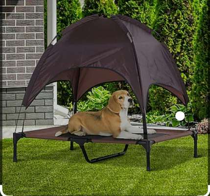 Schlafplatz im Garten-Beitrag-Bild