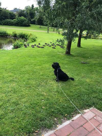 Fotowettbewerb zum Thema "Sonne"-Beitrag-Bild