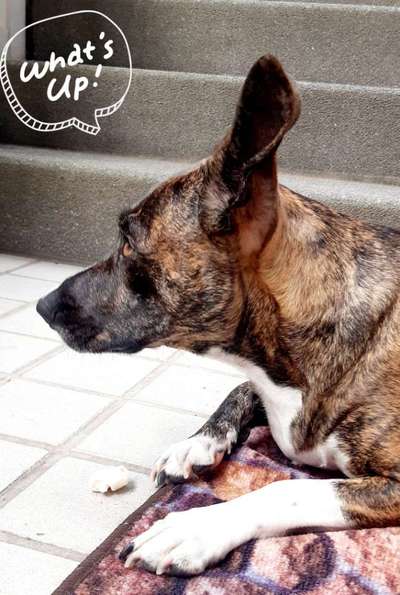 Handy-Foto Challange Nr. 10-Beitrag-Bild