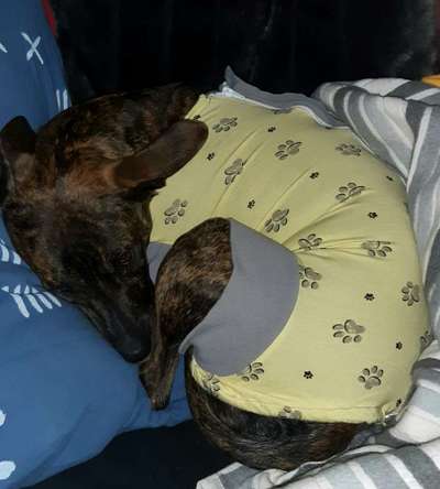 Fotochallange - Eingekugelt-Beitrag-Bild