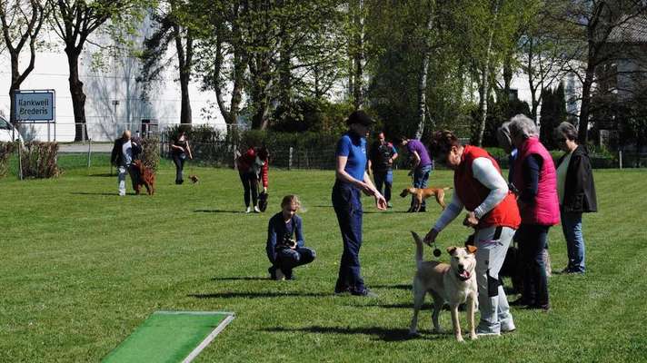 Hundeauslaufgebiet-Rankweil Hundesportverein-Bild