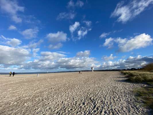 Hundeauslaufgebiet-Travemünde Strand-Bild