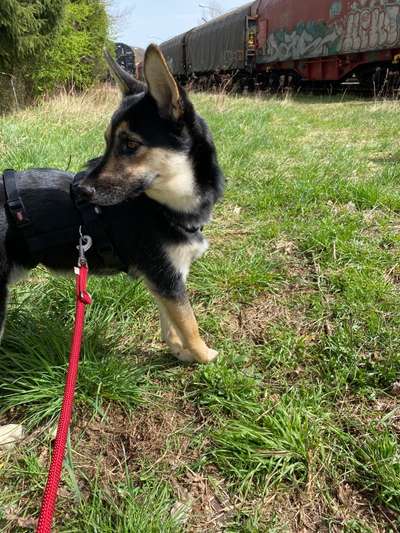 Fotowettbewerb Natur-Beitrag-Bild