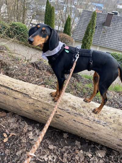 Fotowettbewerb Natur-Beitrag-Bild