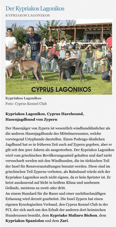 Windhunde - Treffen der besonderen Schönheiten
HERZLICH WILLKOMMEN-Beitrag-Bild