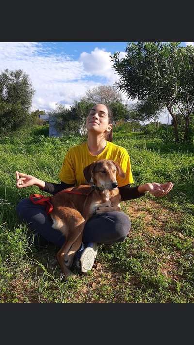 Windhunde - Treffen der besonderen Schönheiten
HERZLICH WILLKOMMEN-Beitrag-Bild