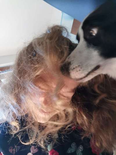 Die lustigsten Selfies mit Deinem Hund !-Beitrag-Bild