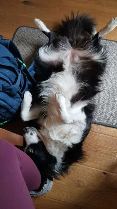 Die unbequemsten und lustigsten Schlafpositionen-Beitrag-Bild