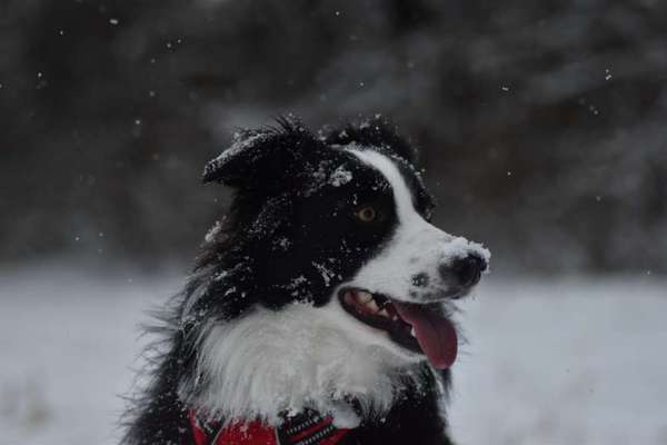 Immer lächeln !-Beitrag-Bild