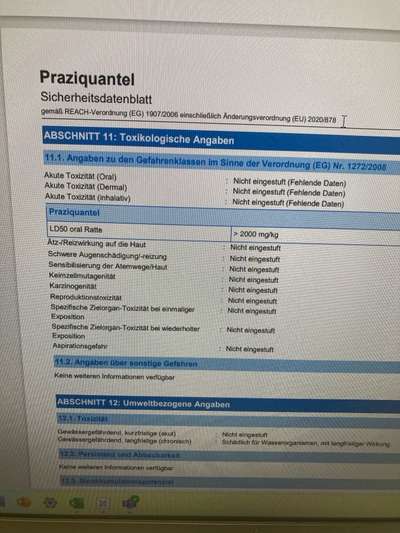 Hund wippt auf dem Bauch-Beitrag-Bild