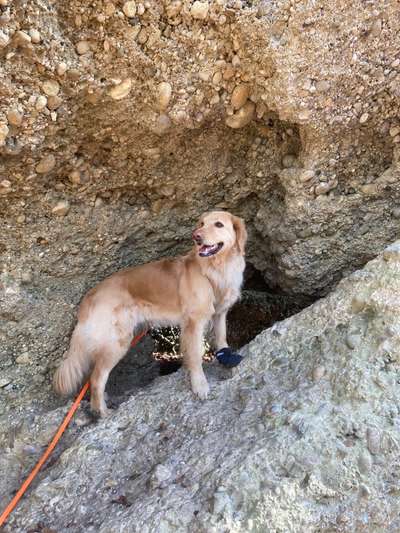 Dogorama Photo Challenge - Steine/Felsen-Beitrag-Bild