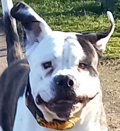 Fotochallange Nr. 57     PORTRÄT.   Beendet!!!!!!!!-Beitrag-Bild