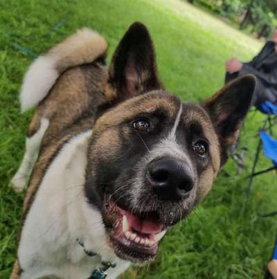 Lieblingsbild :D-Beitrag-Bild