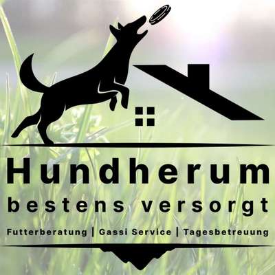 Ernährungsberater-Hundherum bestens versorgt-Bild
