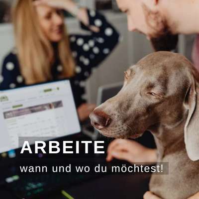 %{de_profession_title}-Traumjob für Tierfreunde 🐶🐱😃-Bild