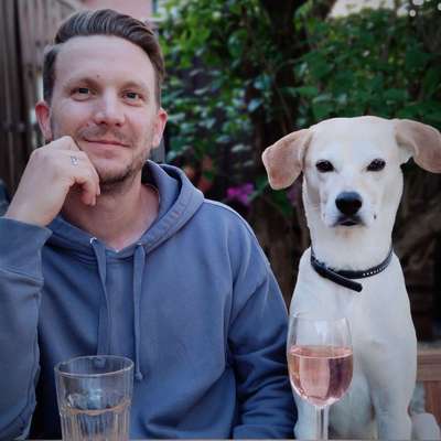 Ernährungsberater-Hundherum bestens versorgt-Bild