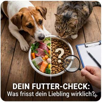 %{de_profession_title}-Futterberatung-Bild