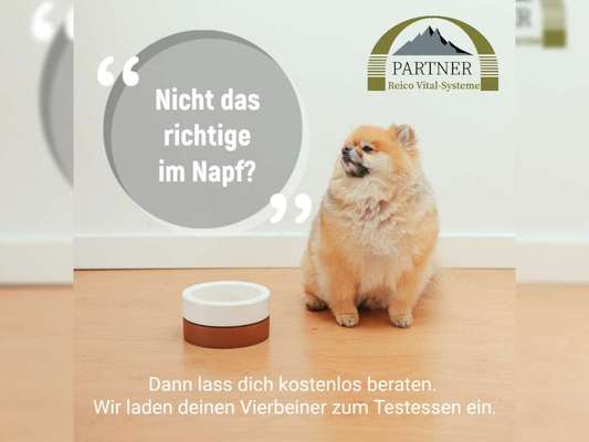 %{de_profession_title}-Futterberatung-Bild