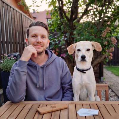 Hundepension Hundherum bestens versorgt in Sankt Wolfgang  – Dogorama