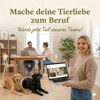 %{de_profession_title}-Traumjob für Tierfreunde 🐶🐱😃-Bild