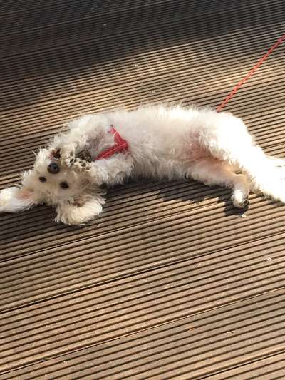 Lieblingsbild :D-Beitrag-Bild