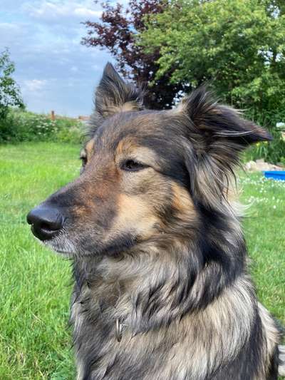 Fotochallange Nr. 57     PORTRÄT.   Beendet!!!!!!!!-Beitrag-Bild