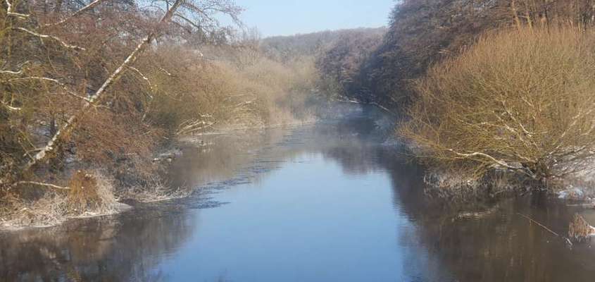 Hundeauslaufgebiet-Bad Bevensen-Bild