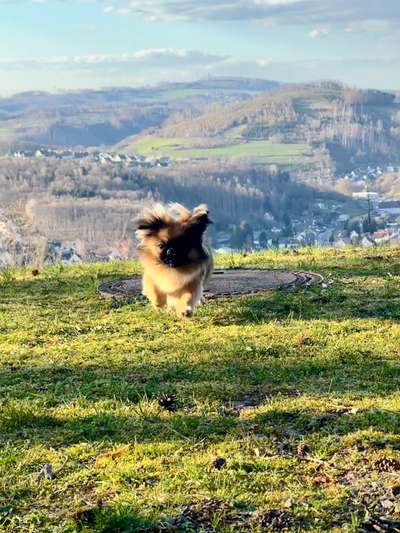 10. Farben Foto-Challenge ---- Blau-Beitrag-Bild