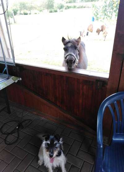 Lieblingsbild-Beitrag-Bild