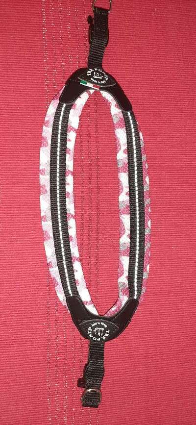 Havaneser dabei?:)-Beitrag-Bild